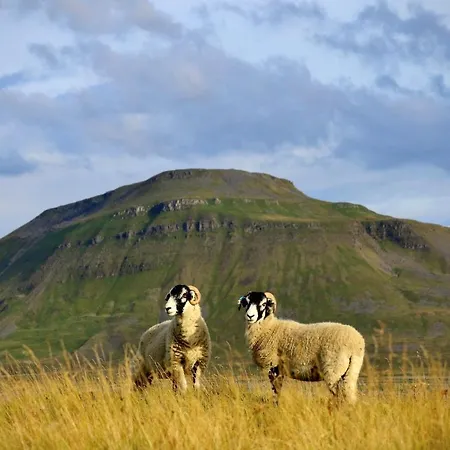 Crina Bottom - Offgrid Mountain Escape In The Yorkshire Dales National Park Hotel