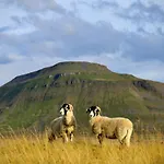 Crina Bottom - Offgrid Mountain Escape In The Yorkshire Dales National Park Hotel